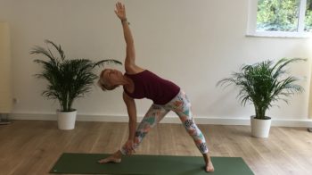 Bild Dreieck Yoga